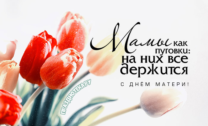Очень красивые тюльпаны - авторская открытка с Днём матери с тёплыми словами