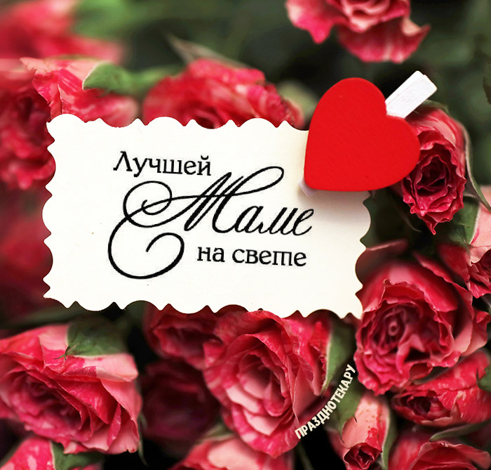 Открытки с цветами ко Дню Матери 2021: розы, тюльпаны, ромашки, нарциссы, незабудки