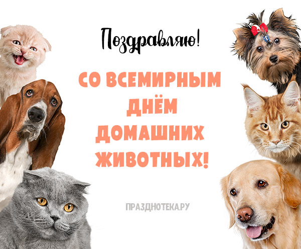 Авторская открытка с надписью "Поздравляю со всемирным днём домашних животных!"