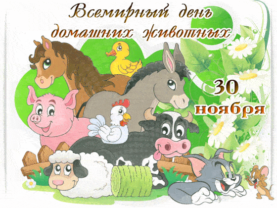 Живая гифка "Всемирный день домашних животных" 30 ноября