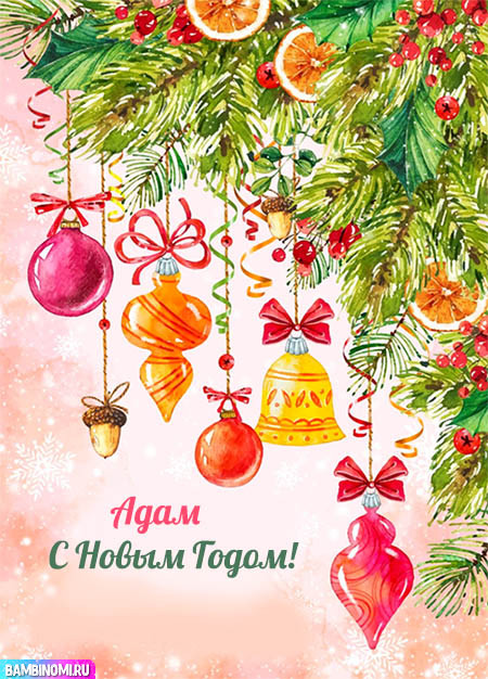 С Новым Годом Адам! Открытки и поздравления от Путина, Деда Мороза