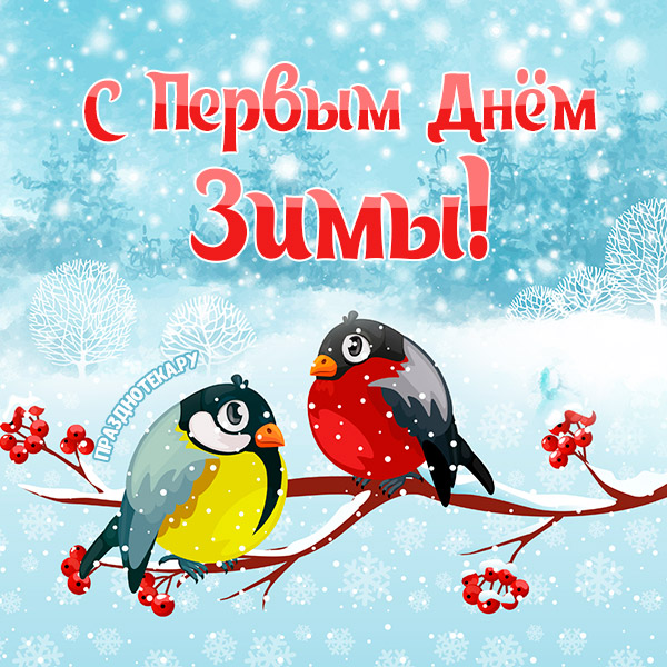 Картинки с приколом "С Первым Днём Зимы!" 1 декабря