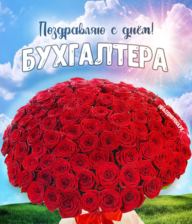 Новая открытка с очень большим букетом красных роз 